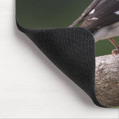 Mannelijke Roos-Breasted Grosbeak Muismat (Hoek)