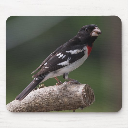 Mannelijke Roos-Breasted Grosbeak Muismat (Voorkant)