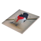 Mannelijke Roos-gekookte Grosbeak Tegeltje (Zijkant)