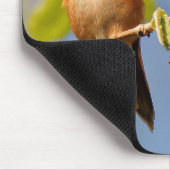 Mannelijke Rufous Hummingbird in Summer Sun Muismat (Hoek)