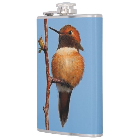 Mannelijke Rufous Hummingbird in the Spotlight Heupfles (Links)