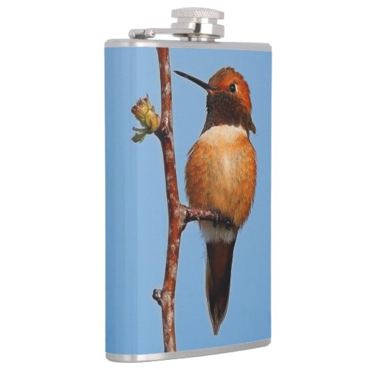 Mannelijke Rufous Hummingbird in the Spotlight Heupfles (Rechts)