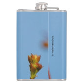 Mannelijke Rufous Hummingbird in the Spotlight Heupfles (Achterkant)