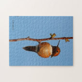 Mannelijke Rufous Hummingbird in the Spotlight Legpuzzel (Horizontaal)