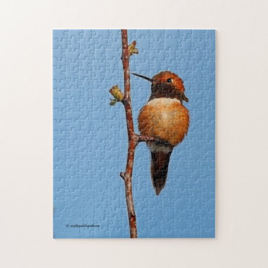 Mannelijke Rufous Hummingbird in the Spotlight Legpuzzel (Verticaal)