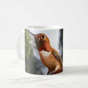 Mannelijke Rufous Hummingbird - Mokken