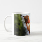Mannelijke Rufous Hummingbird - Mokken (Links)