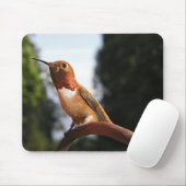 Mannelijke Rufous Hummingbird - Mousepad Muismat (Met muis)
