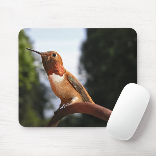 Mannelijke Rufous Hummingbird - Mousepad Muismat (Met muis)
