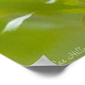 Mannelijke Scarlet Tanager in de zomergroene Poster (Hoek)