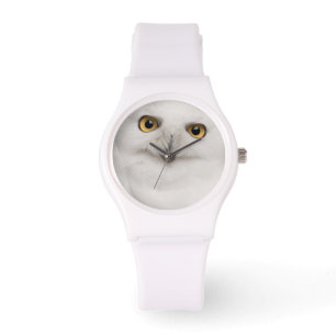 Mannelijke Snowy Owl (Bubo scandiacus) is een grot Horloge