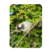 Mannelijke Sparrow in Summer Magnet Magneet (Verticaal)
