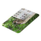 Mannelijke Sparrow in Summer Magnet Magneet (Linkerzijde)