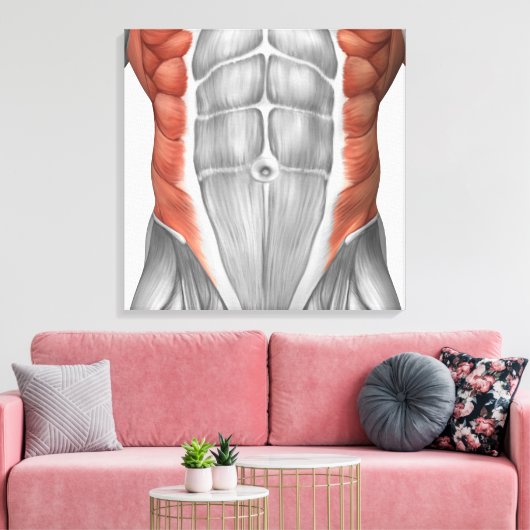 Mannelijke spierAnatomie van de buikwand Canvas Afdruk (Insitu (Woonkamer))