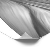 Mannelijke spierAnatomie van de buikwand Poster (Hoek)