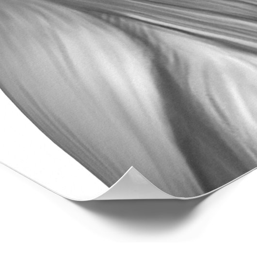 Mannelijke spierAnatomie van de buikwand Poster (Hoek)