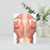 Mannelijke spierAnatomie van de mens Rug 1 Briefkaart (Staand voorkant)