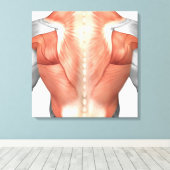 Mannelijke spierAnatomie van de mens Rug 1 Canvas Afdruk (Insitu (Houten vloer))