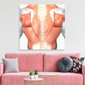 Mannelijke spierAnatomie van de mens Rug 1 Canvas Afdruk (Insitu (Woonkamer))