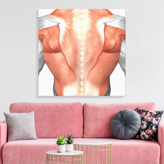 Mannelijke spierAnatomie van de mens Rug 1 Canvas Afdruk (Insitu (Woonkamer))