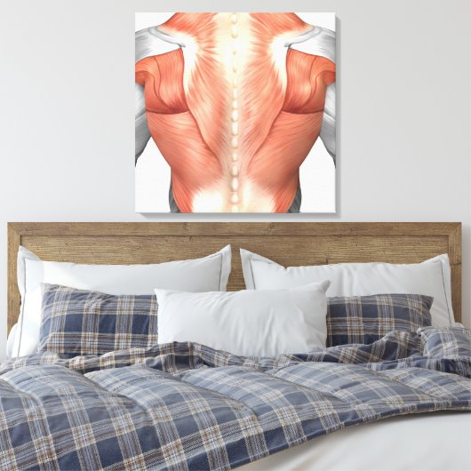 Mannelijke spierAnatomie van de mens Rug 1 Canvas Afdruk (Insitu (Slaapkamer))