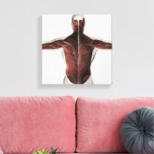 Mannelijke spierAnatomie van de mens Rug 2 Canvas Afdruk (Insitu (Woonkamer))