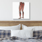 Mannelijke spierAnatomie van de menselijke benen 1 Canvas Afdruk (Insitu (Slaapkamer))