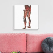 Mannelijke spierAnatomie van de menselijke benen 1 Canvas Afdruk (Insitu (Woonkamer))