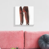 Mannelijke spierAnatomie van de menselijke benen 2 Canvas Afdruk (Insitu (Woonkamer))
