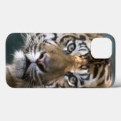 Mannelijke Sumatran Tiger (Panthera tigris sumatra Case-Mate iPhone Case (Achterkant (horizontaal))