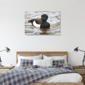Mannelijke tufted duck canvas afdruk (Insitu (Slaapkamer))