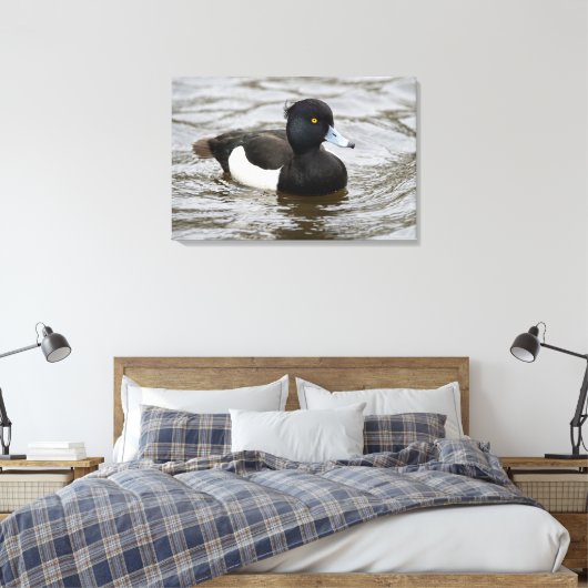 Mannelijke tufted duck canvas afdruk (Insitu (Slaapkamer))