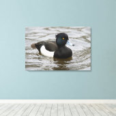 Mannelijke tufted duck canvas afdruk (Insitu (Houten vloer))
