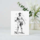 Mannelijke voorzijde briefkaart (Staand voorkant)