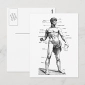 Mannelijke voorzijde briefkaart (Voorkant / Achterkant)