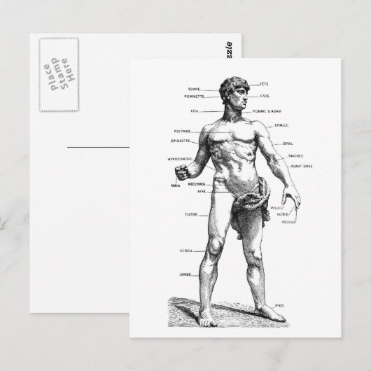 Mannelijke voorzijde briefkaart (Voorkant / Achterkant)