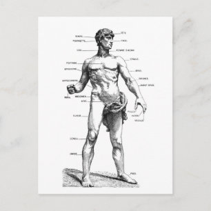 Mannelijke voorzijde briefkaart