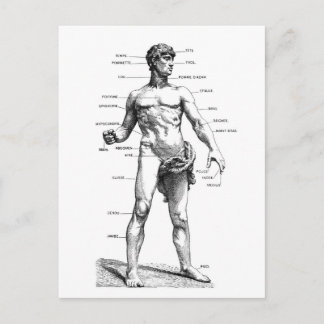 Mannelijke voorzijde briefkaart