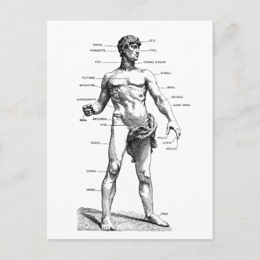 Mannelijke voorzijde briefkaart (Voorkant)