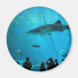 Mannelijke walvishaai in Georgia Aquarium Magneet