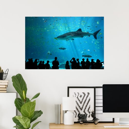 Mannelijke walvishaai in Georgia Aquarium Poster (Thuiskantoor)