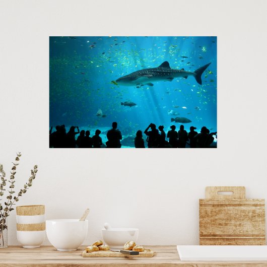 Mannelijke walvishaai in Georgia Aquarium Poster (Keuken)