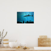 Mannelijke walvishaai poster (Keuken)