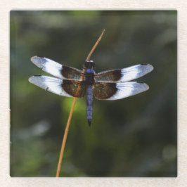Mannelijke weduwe skimmer Dragonfly Glazen Onderzetter