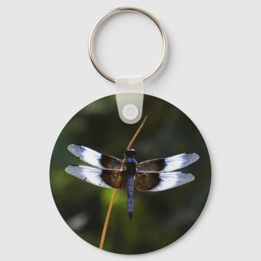 Mannelijke weduwe skimmer Dragonfly Sleutelhanger (Voorkant)