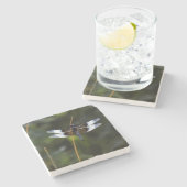 Mannelijke weduwe skimmer Dragonfly Stenen Onderzetter (Zijkant)