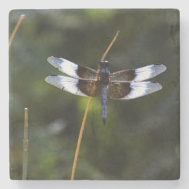 Mannelijke weduwe skimmer Dragonfly Stenen Onderzetter