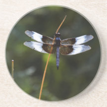 Mannelijke weduwe skimmer Dragonfly