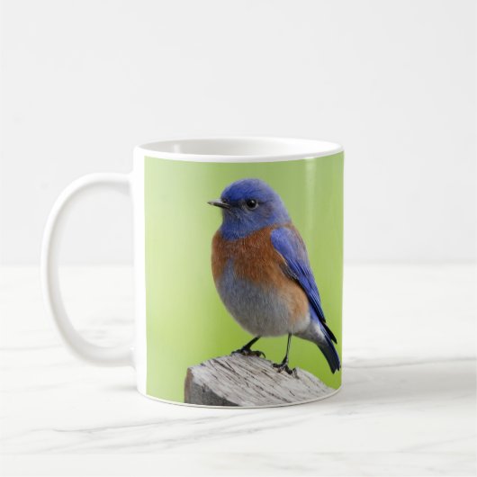 Mannelijke Westerne Bluebird Mok (Links)