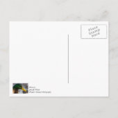 Mannelijke Wilde Eend Portret Briefkaart (Achterkant)